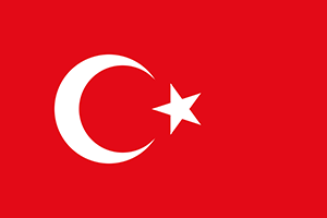 Türkçe